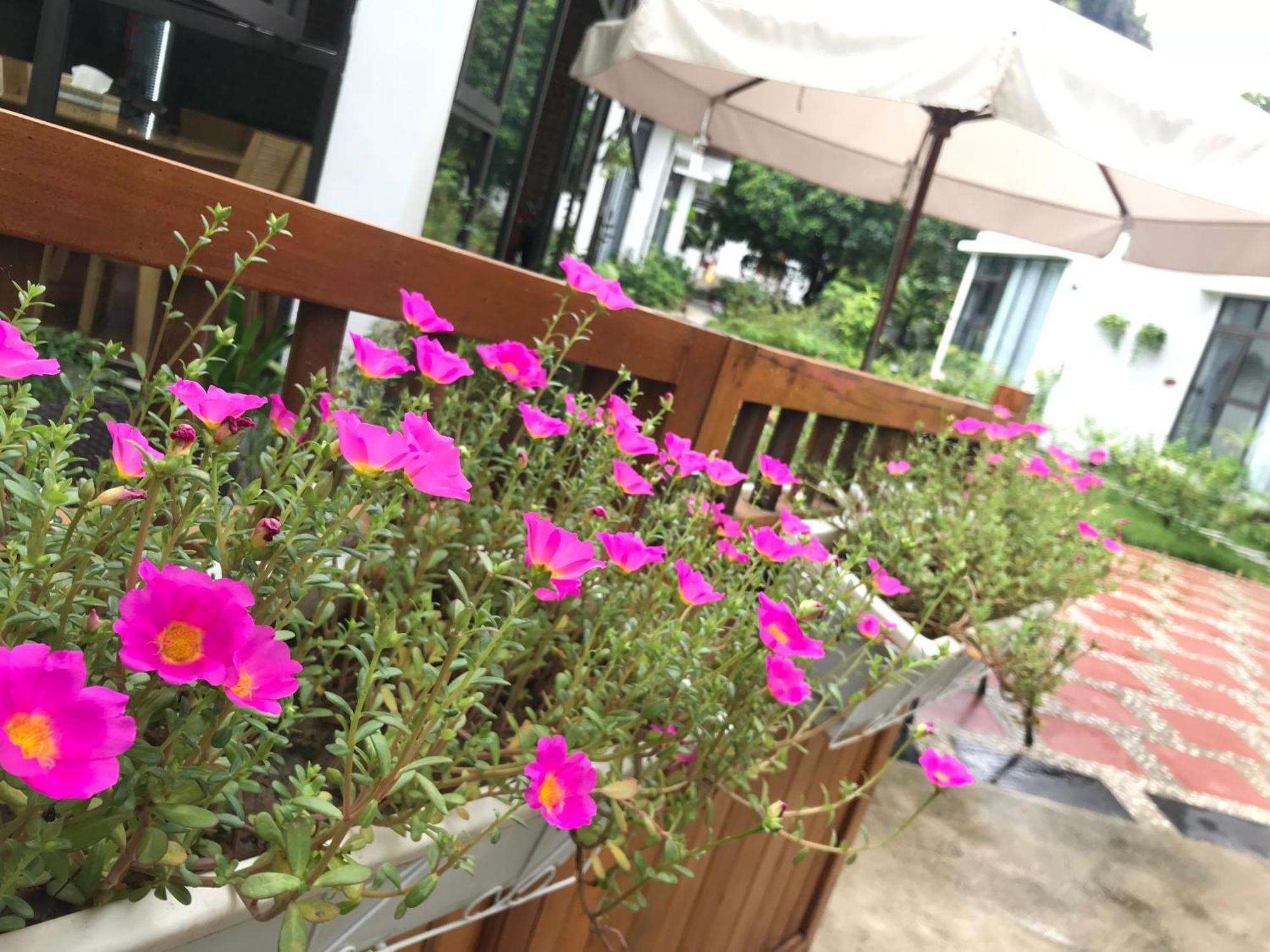 Tam Coc Boutique Garden Hotel Ninh Binh Luaran gambar